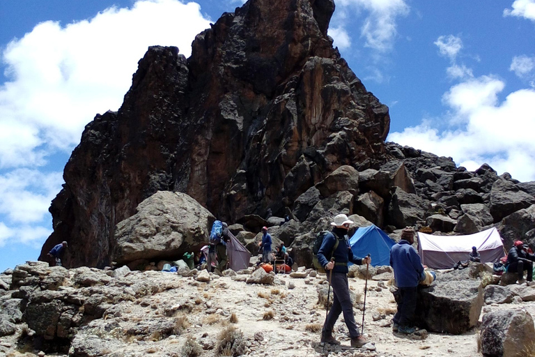 7 giorni di arrampicata di lusso sulla via lemosho del kilimanjaro