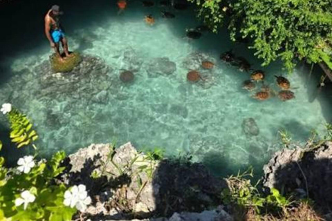Zanzibar: Explore Salam Cave & Relax at Mtende Beach Tour with Hotel Pickup & Drop-off – For Guests From Anywhere