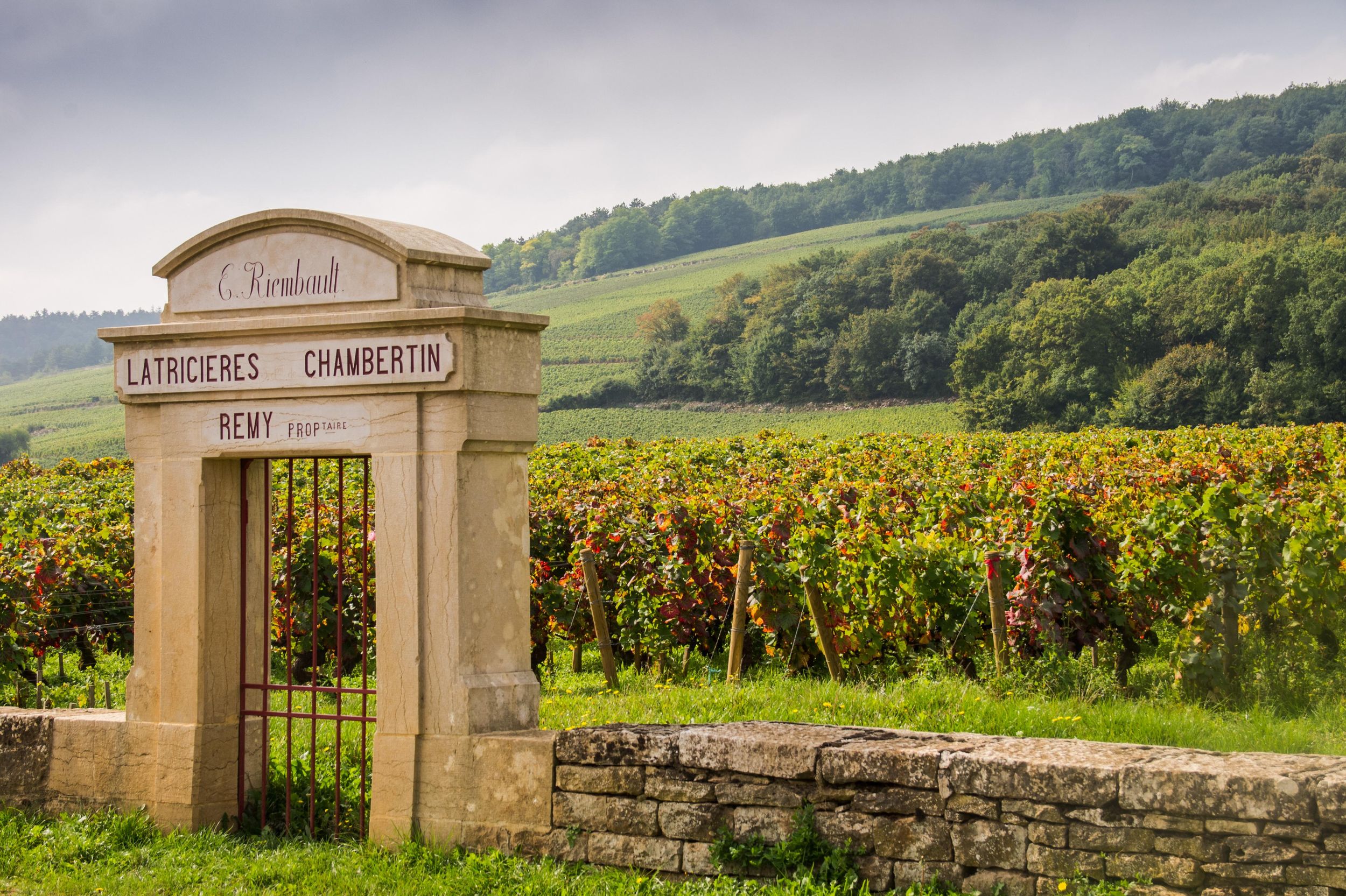 Ab Dijon: Côte de Nuits Wine-Tasting Tour