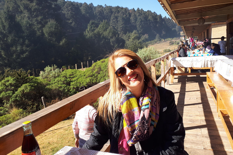 Sierra Chincua and Tlalpujahua: Monarch Butterflies and a Magical Town