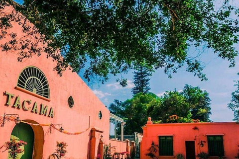 Depuis Ica : Visite de vignobles - Sur la route du Pisco