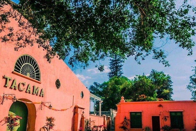 Depuis Ica : Visite de vignobles - Sur la route du Pisco