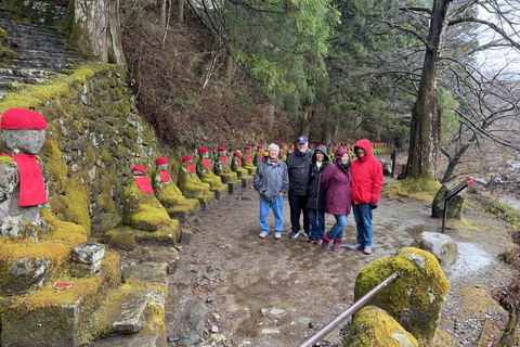 Tour particular de Nikko de e para Tóquio até 12 pessoas