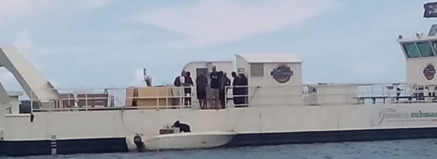 Visite guidée privée en van des Bermudes : guide de croisière à terre