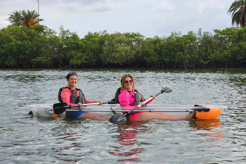 Clearwater: Guided Clear Kayaking Tour