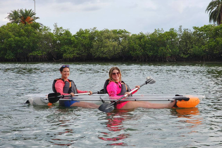 Clearwater: Guided Clear Kayaking Tour