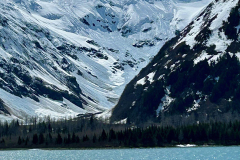 Anchorage: Wildlife Conservation Center & Portage Valley