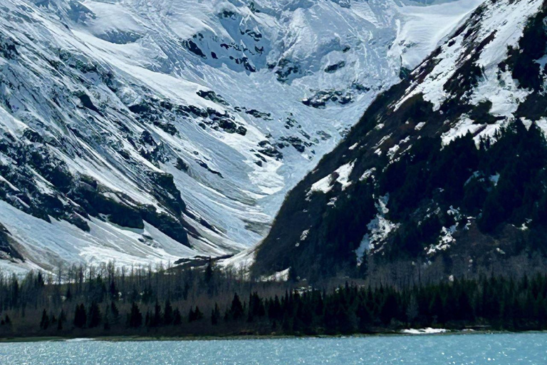 Anchorage: Wildlife Conservation Center & Portage Valley