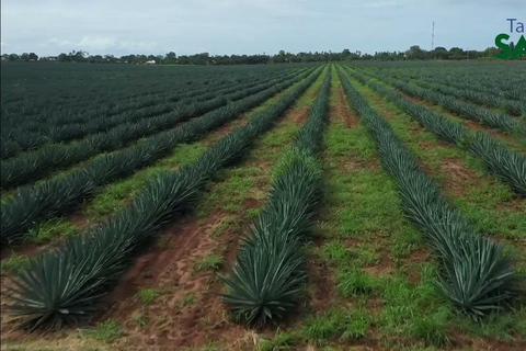 坦桑尼亚：从海岸到湖泊的 10 天社区野生动物之旅坦桑尼亚：从海岸到湖泊的 10 天社区之旅