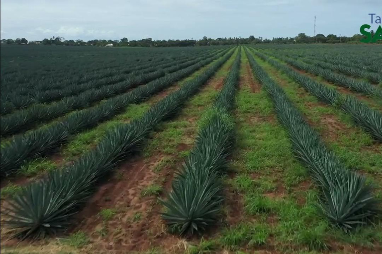 坦桑尼亚：从海岸到湖泊的 10 天社区野生动物之旅坦桑尼亚：从海岸到湖泊的 10 天社区之旅