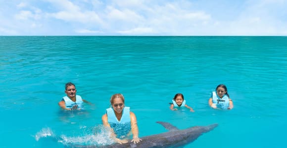Puerto Vallarta: Dolphin Encounter and Aquaventuras Park
