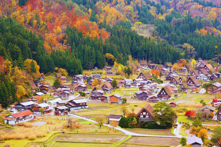 Nagoya: Shirakawa-go & Hida Takayama Old Streets Day Tour