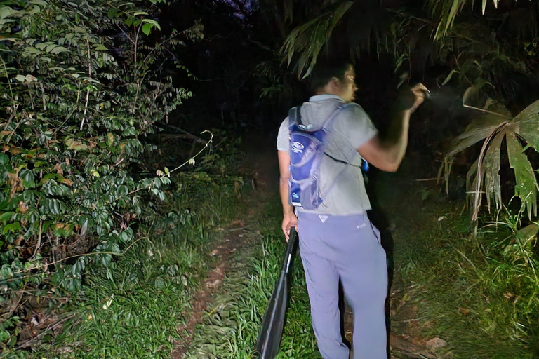 Puerto Viejo: Tour noturno da vida selvagem na selva