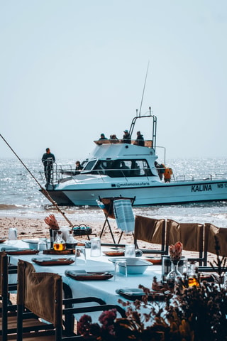Walvis Bay: Marine Cruise with Beach Lunch