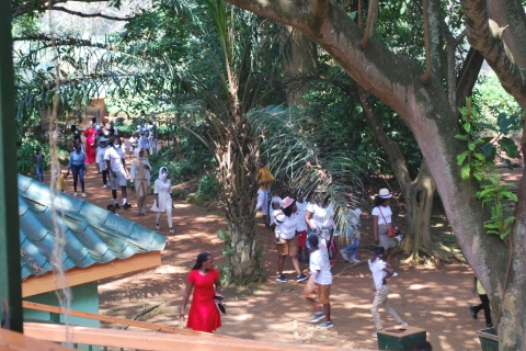 1-tägige Best of Entebbe City Guided Walking Tour