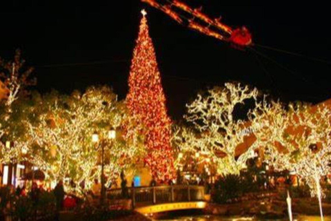 Los Angeles: Holiday Lights Tour & Rodeo Dr Walking Tour