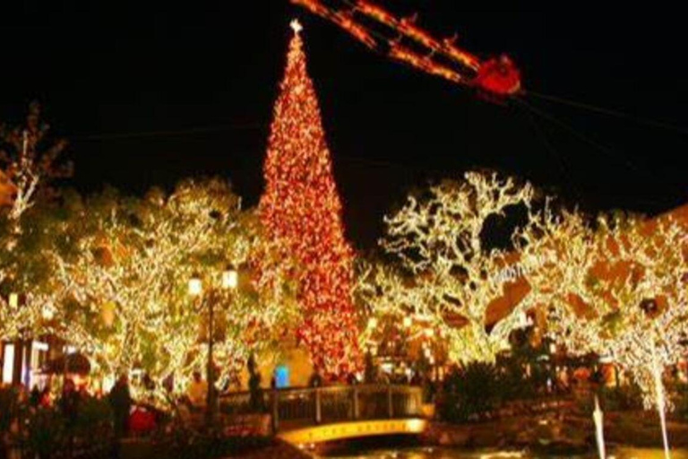 Los Angeles: Holiday Lights Tour & Rodeo Dr Walking Tour