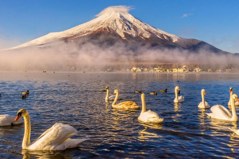 Tokyo Full and Half Day Sightseeing Tour with Mount Fuji Tokyo: 4 Hours Private City Sightseeing Tour with Tour Guide