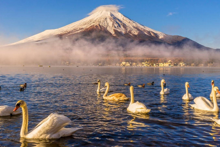 Tokyo Full and Half Day Sightseeing Tour with Mount Fuji Tokyo: 4 Hours Private City Sightseeing Tour with Tour Guide