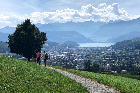 Lucerne : visite de la campagne en petit groupe avec dégustation de fromages