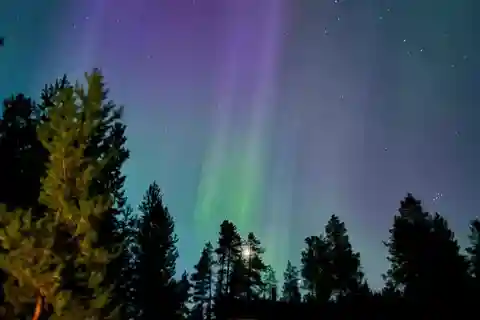 De Ruka: Excursão à natureza da aurora boreal com carrinha