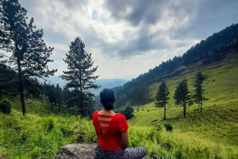 Kandy: Hidden Highlands Nature Walk