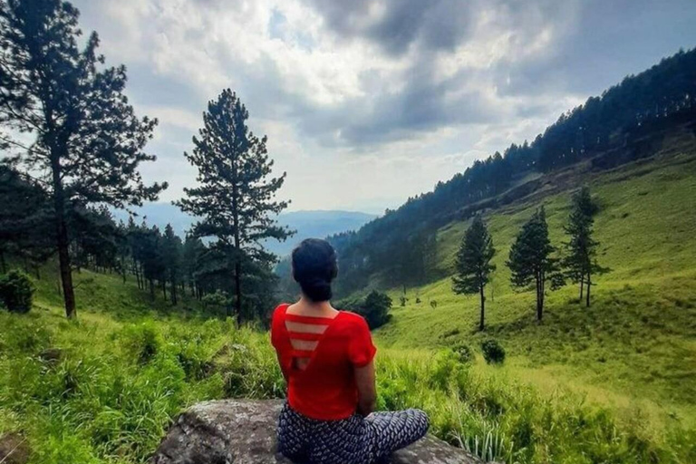 Kandy: Hidden Highlands Nature Walk