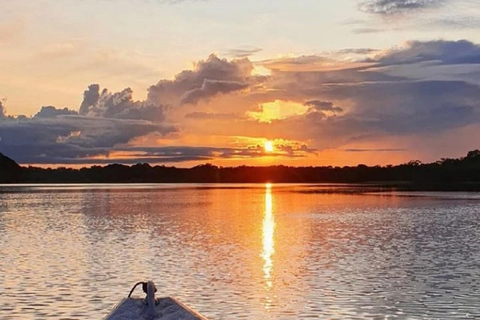 Manaus : Nachtfocus