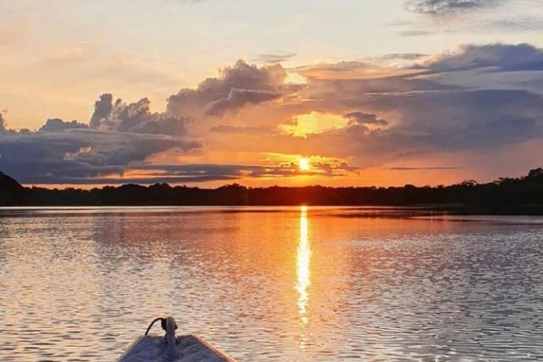 Manaus : Nachtfocus