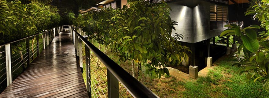 Lahad Datu : aventure de 3 jours dans la forêt tropicale de la vallée de Danum