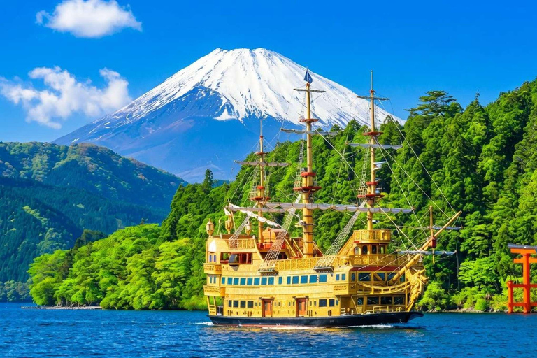 From Tokyo : Mount Fuji Private Day Trip with Hotel Pickup Mount Fuji & Hakone Customize Tour With English Guide