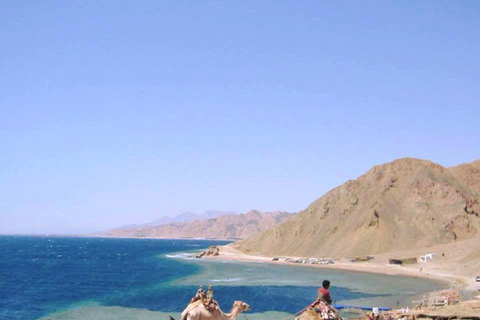Sharm: 3 Pools Dahab Tour, Quad, Camel, Red Canyon & Lunch 3 Pools Tour, Camel, Red Canyon included Lunch