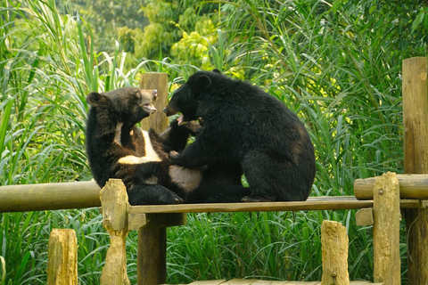 Hanoi: Van Long Wetland, Bear Sanctuary, Cuc Phuong Tour