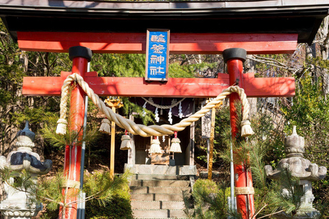 Mt Fuji Photography & Pilgrimage One-Day Tour From Tokyo Departure From Tokyo Station