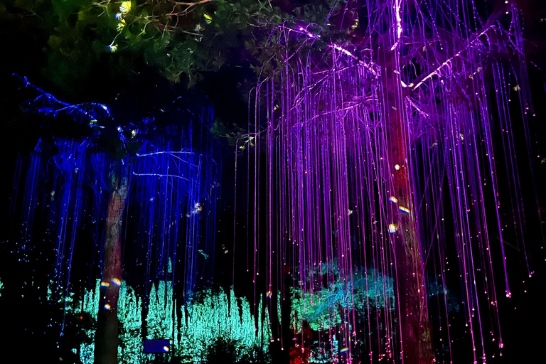 Ibiza: Bibo Park excursion