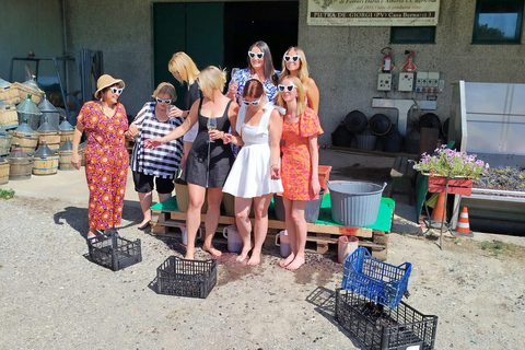 Milan: Oltrepò Pavese Real Grape Stomping,Wine Tasting Lunch