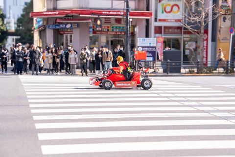 Tokyo: 1-dagars höjdpunkter med privat bil och guide