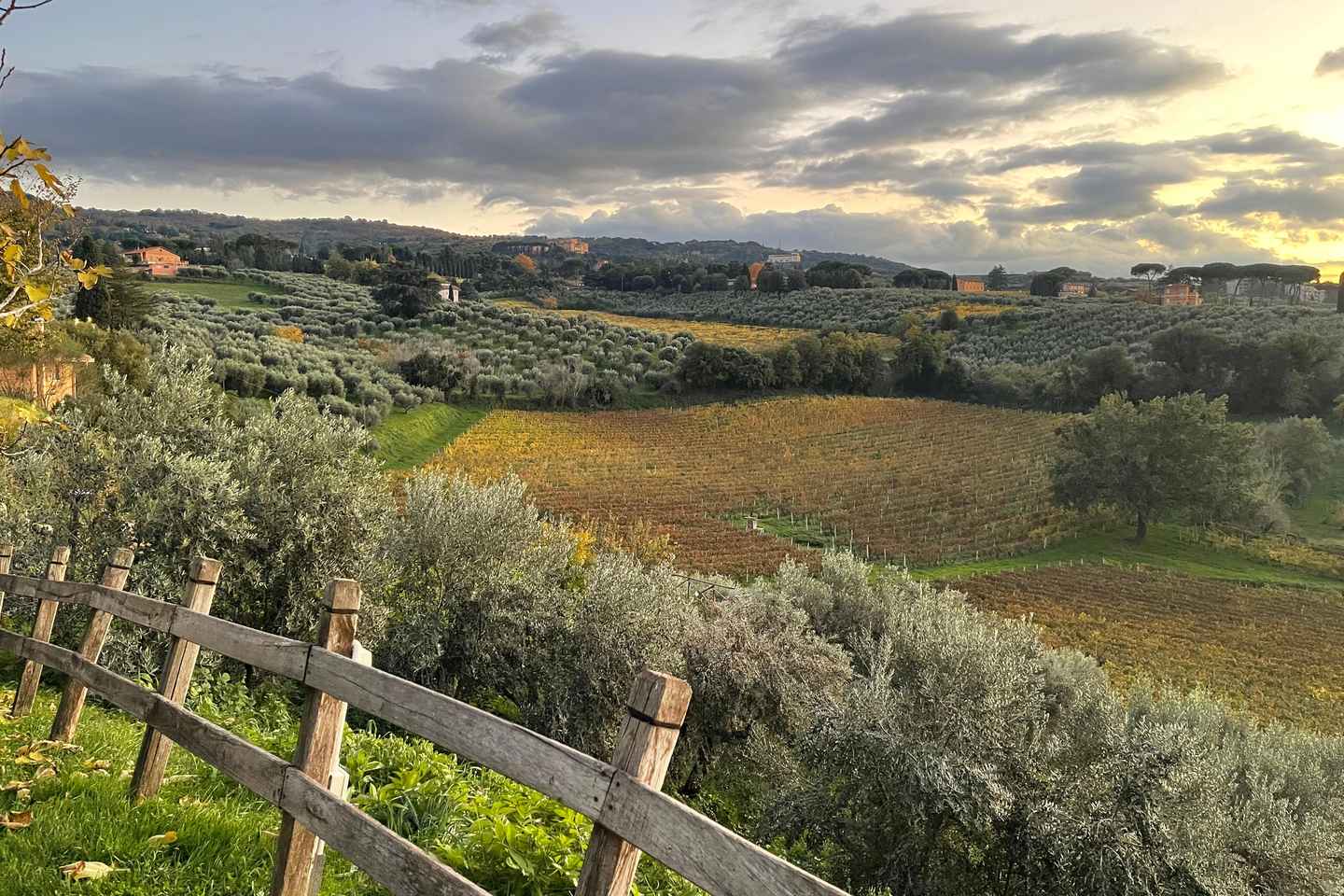 Rome Countryside: Wine Tasting Tour with Private Driver