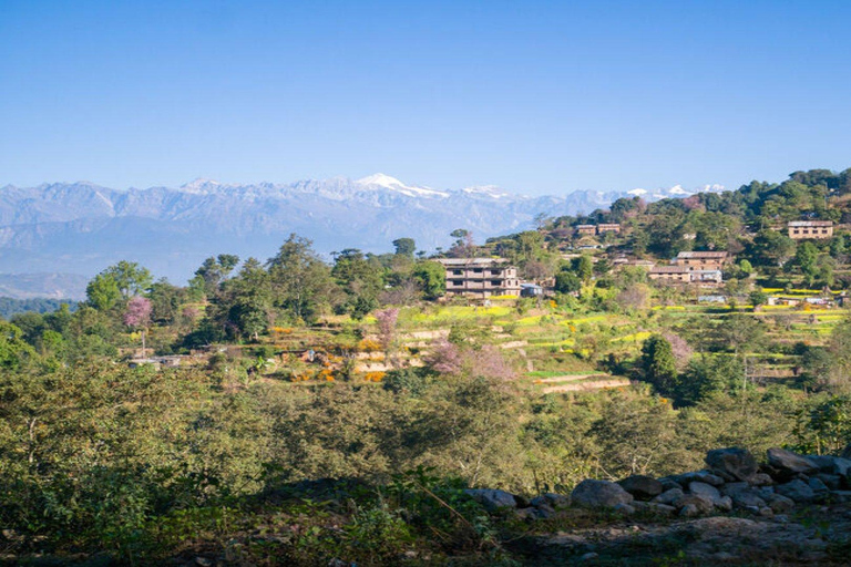 Randonnée panoramique de Nagarkot à Changunarayan avec déjeuner