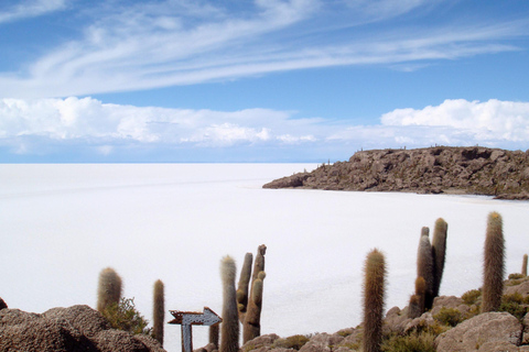 Uyuni zoutvlakte en Incahuasi eiland 5 dagen