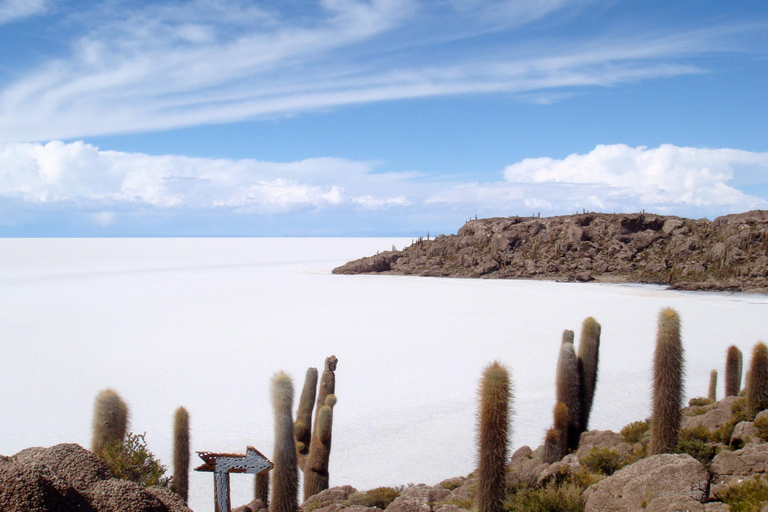 Uyuni Salt Flat und Incahuasi Island 5 Tage