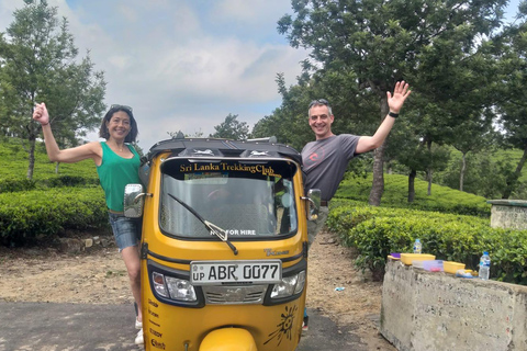 Esplora le cascate iconiche di Ella con un&#039;avventura panoramica in tuk-tuk