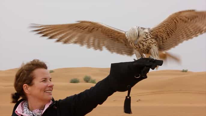 dubai falconry safari