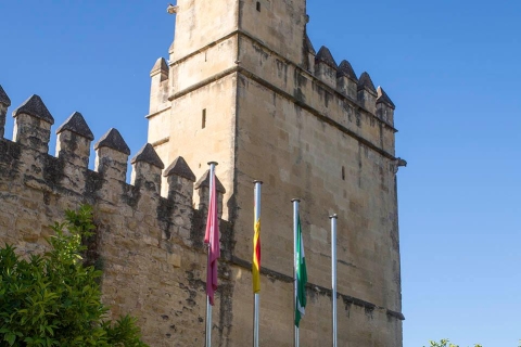 Córdoba: ticket y tour guiado sin colas por el alcázarTicket sin colas y tour guiado por el Alcázar en español