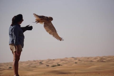 Dubaï : safari et démonstration de fauconnerieExcursion avec petit-déjeuner de luxe