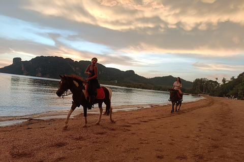 Paseos a caballo por la playa de Krabi y atv ExtremePaseos a caballo por la playa y atv Extreme