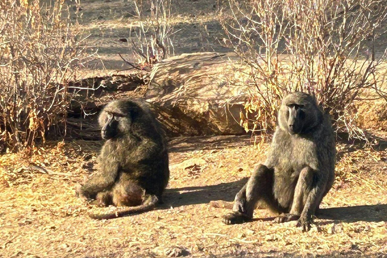 3 Days, 2 nights safari to Samburu National Reserve 3 Days private safari in a 4x4 Landcruiser jeep