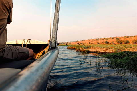 Escursione di un giorno dalle Cascate Vittoria: Safari terrestre e fluviale nel Chobe NP