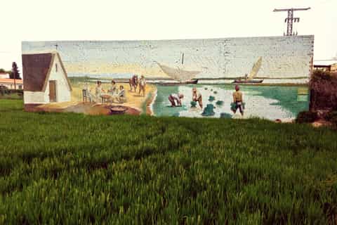 From Valencia: Albufera Bike Tour