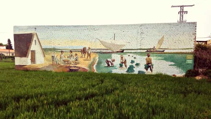 from valencia albufera bike tour